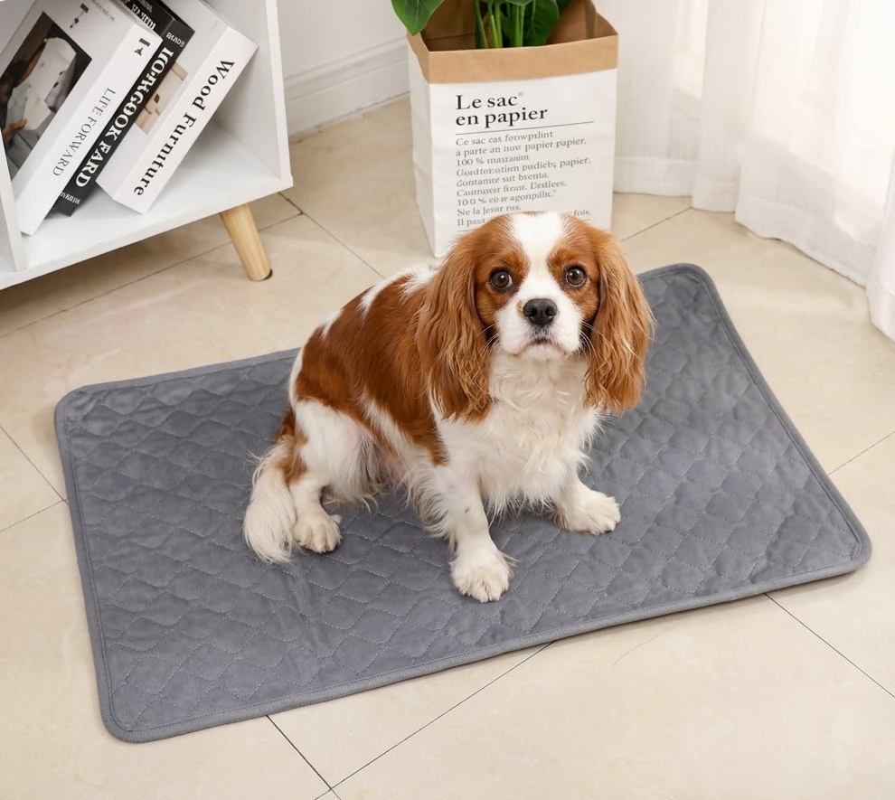 Lurunipad: Tapete higiénico absorbente y reutilizable para perros