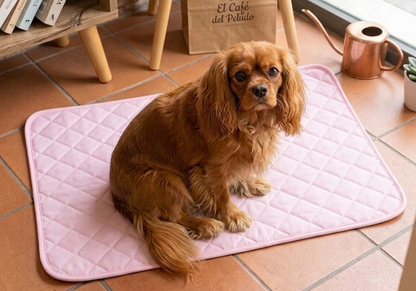 Lurunipad: Tapete higiénico absorbente y reutilizable para perros