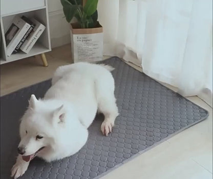 Lurunipad: Tapete higiénico absorbente y reutilizable para perros